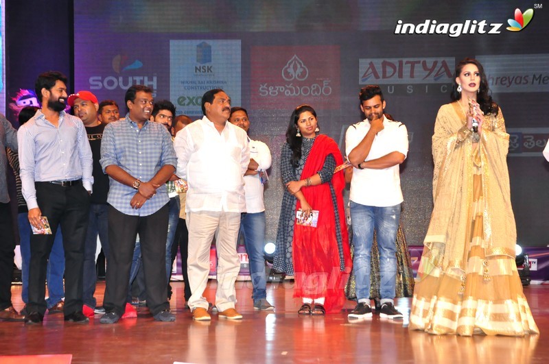 'Thikka' Audio Launch (Set-2)