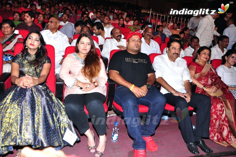 'Thikka' Audio Launch (Set-2)