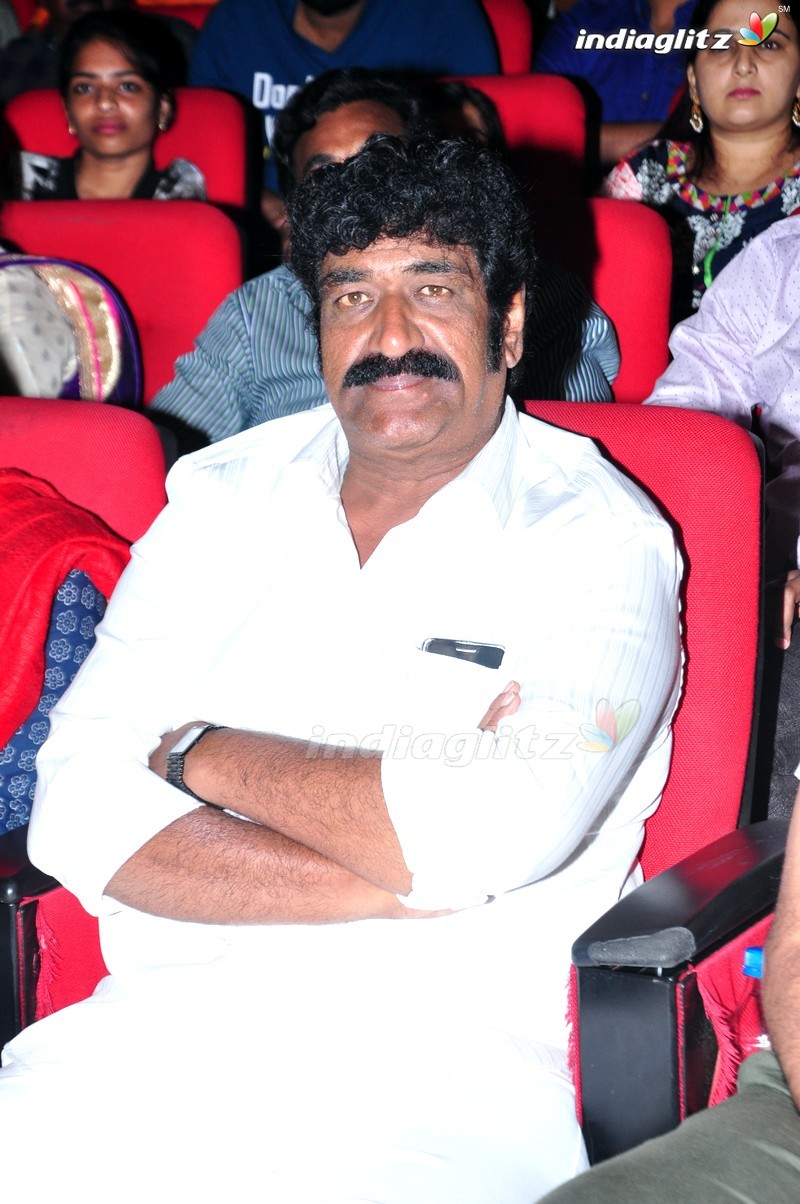 'Thikka' Audio Launch (Set-2)