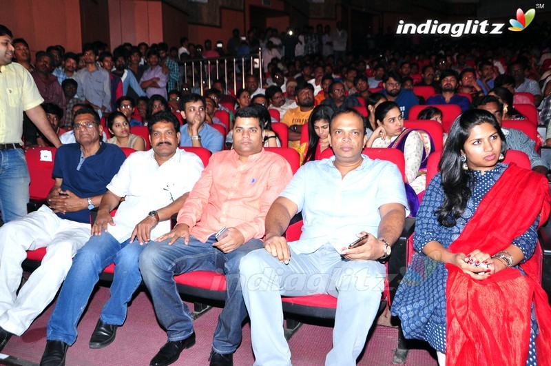 'Thikka' Audio Launch (Set-2)