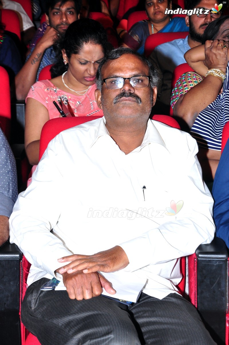 'Thikka' Audio Launch (Set-2)