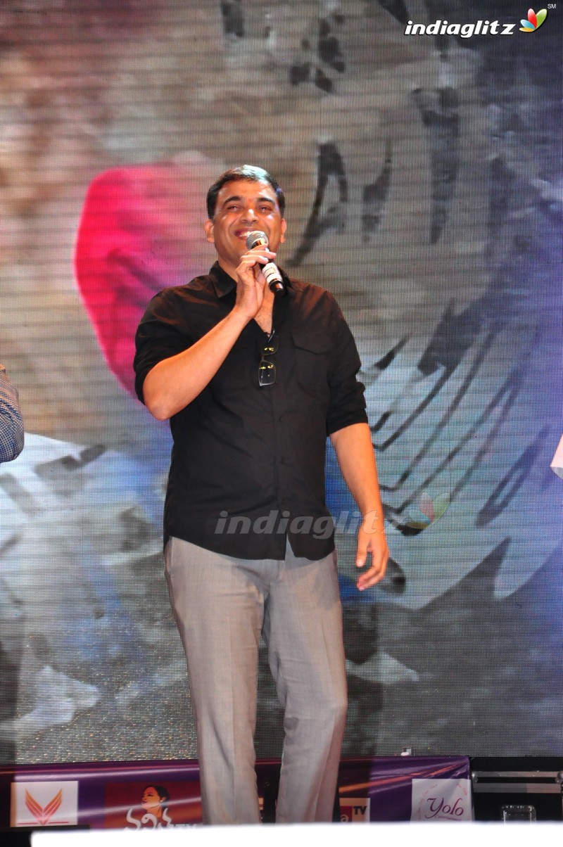 'Thikka' Audio Launch (Set-2)