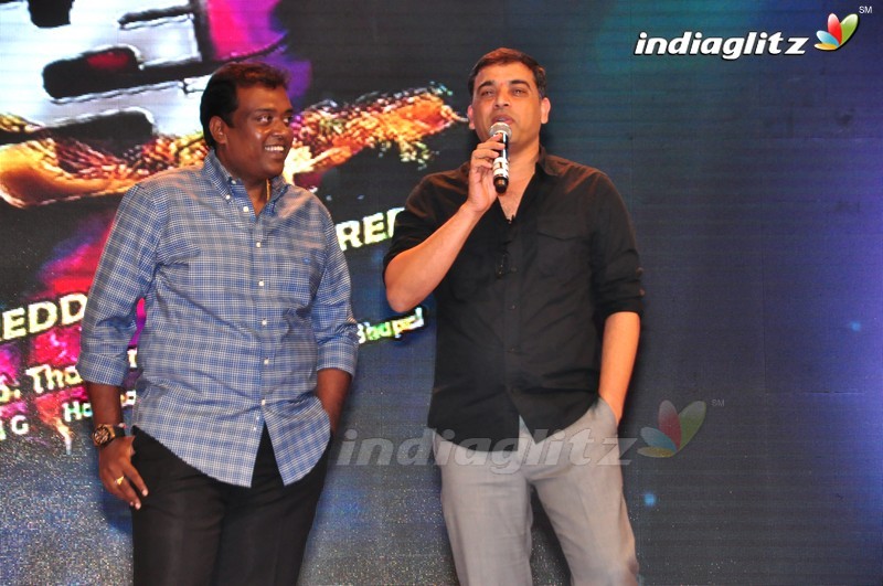 'Thikka' Audio Launch (Set-2)