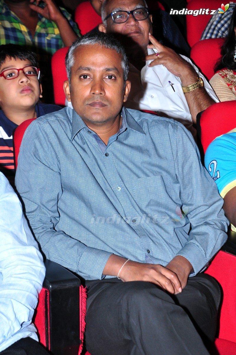 'Thikka' Audio Launch (Set-2)