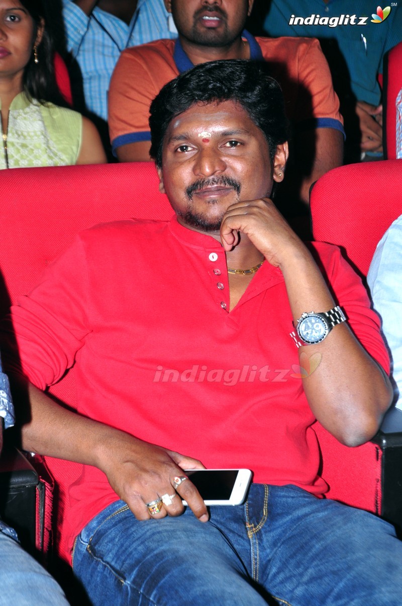 'Thikka' Audio Launch (Set-2)