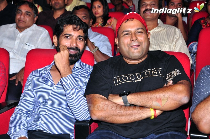 'Thikka' Audio Launch (Set-2)