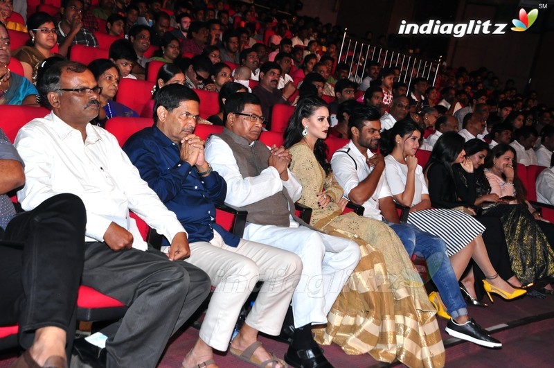 'Thikka' Audio Launch (Set-2)