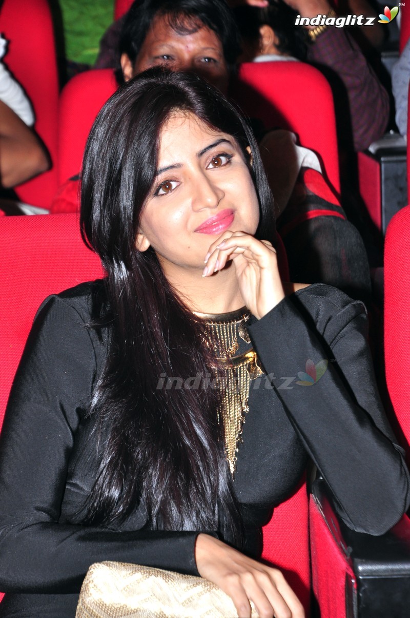 'Thikka' Audio Launch (Set-2)