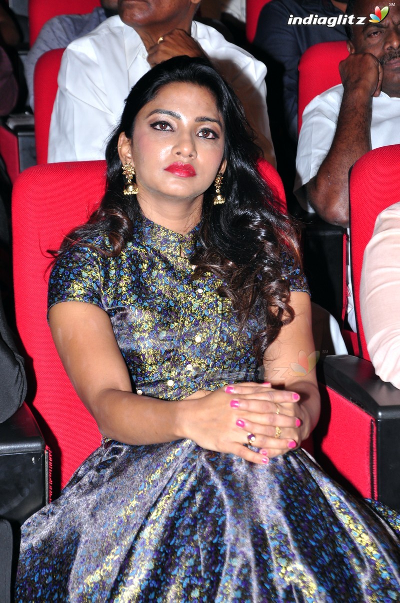 'Thikka' Audio Launch (Set-2)