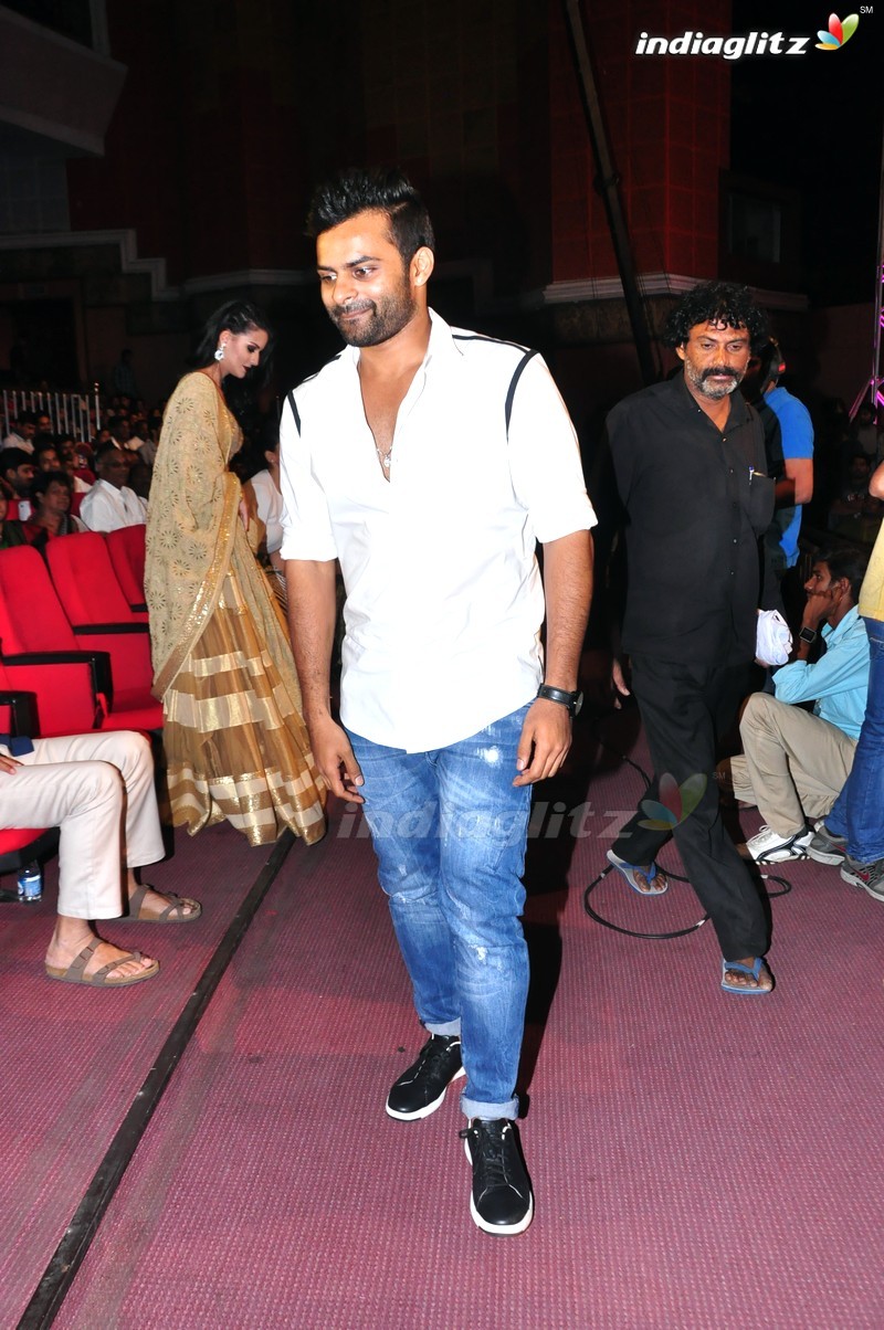 'Thikka' Audio Launch (Set-2)