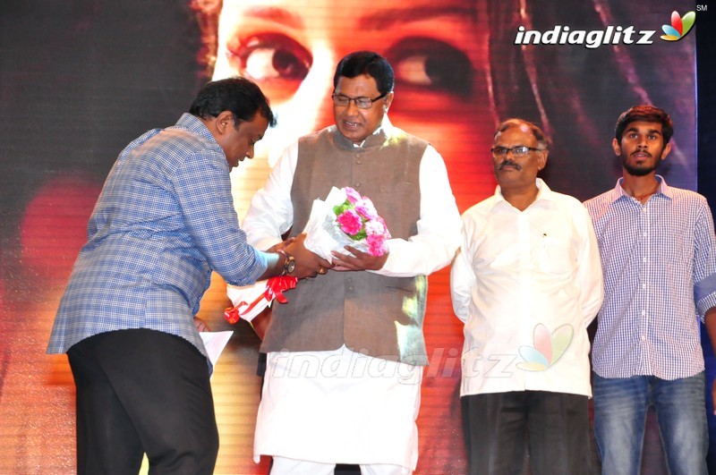 'Thikka' Audio Launch (Set-2)