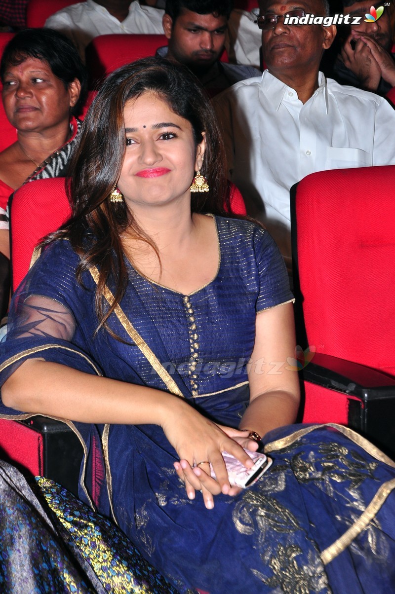 'Thikka' Audio Launch (Set-2)