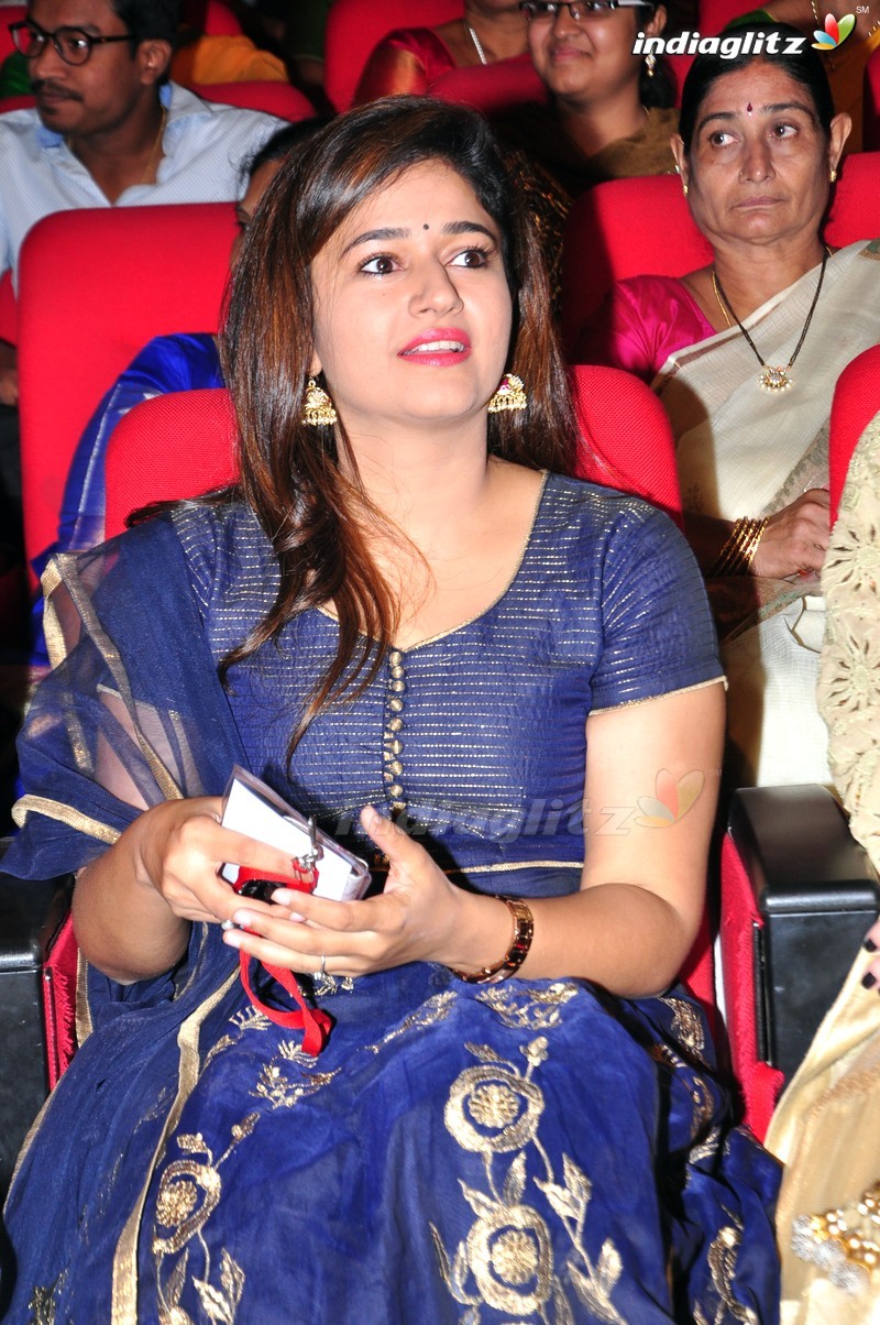 'Thikka' Audio Launch (Set-2)