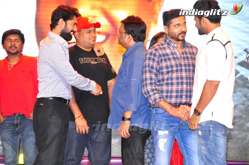 'Thikka' Audio Launch (Set-2)