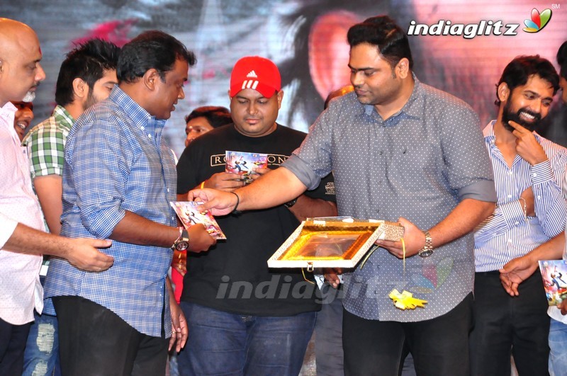 'Thikka' Audio Launch (Set-2)