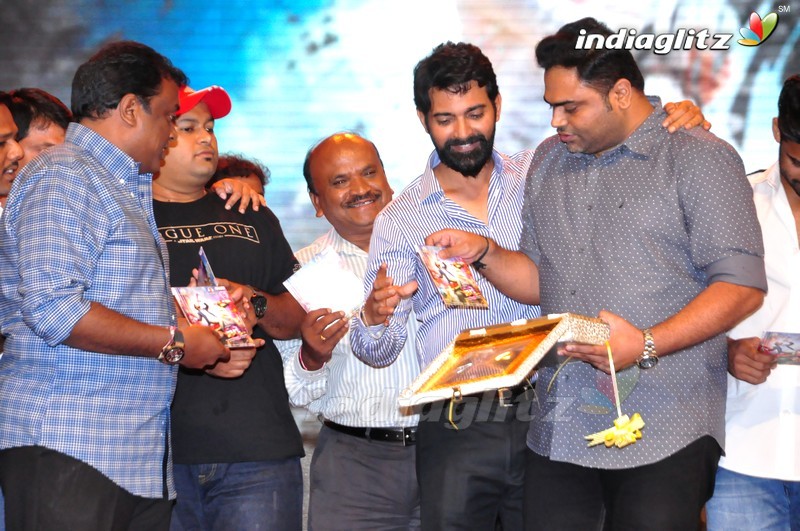 'Thikka' Audio Launch (Set-2)