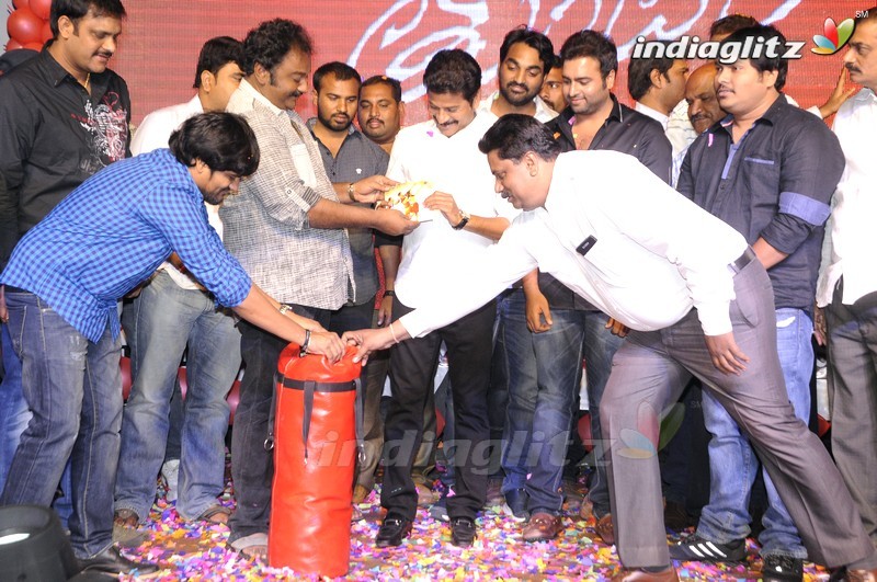 'Tuntari' Audio Launch