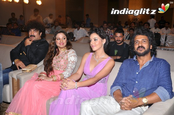 'Upendra2' Audio Launch (Set-1)