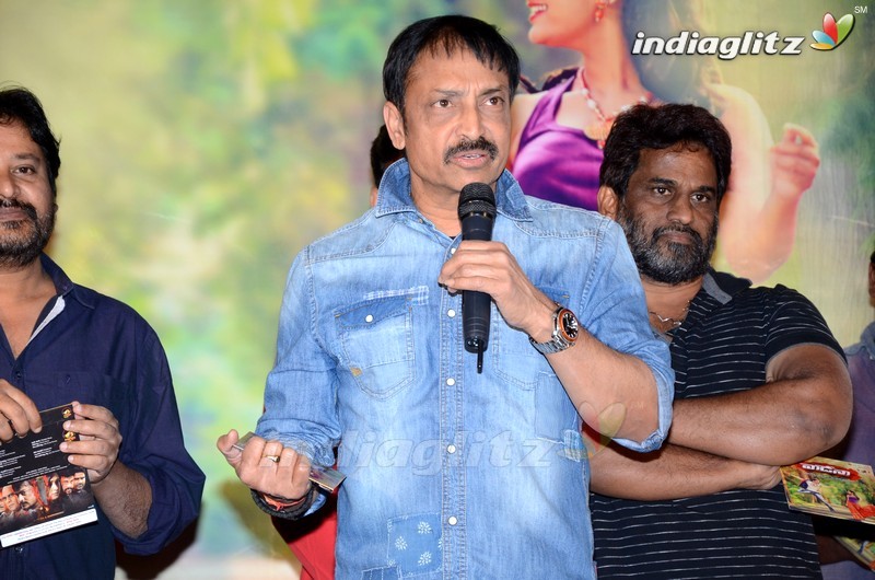 'Vaadena' Audio Launch