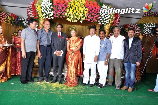 Vakkada Apparao Son Wedding Gallery