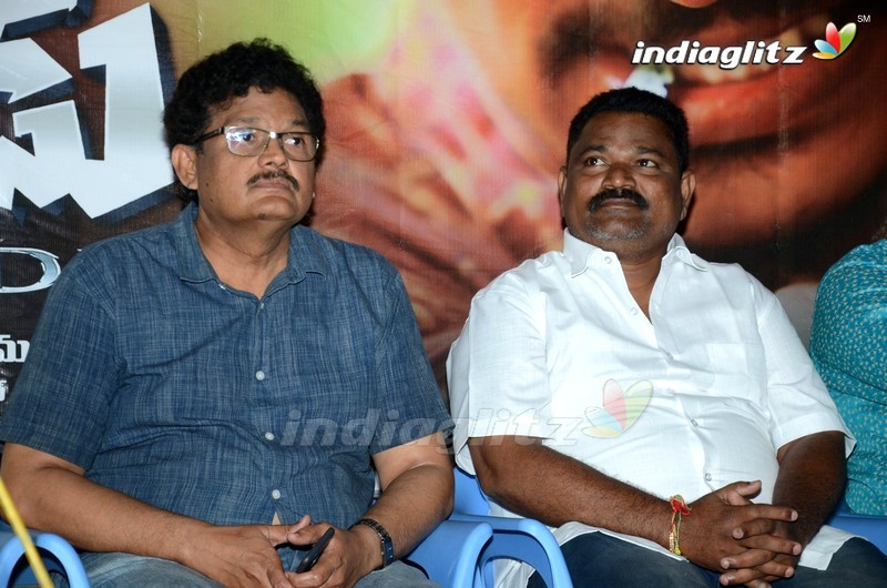 'Veede Sarainodu' Press Meet