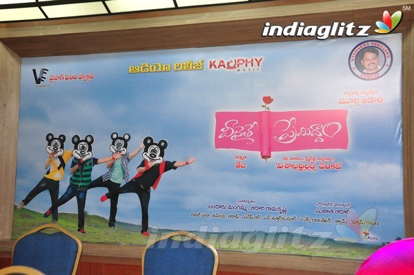 'Veelaithe Premiddam' Audio Launch