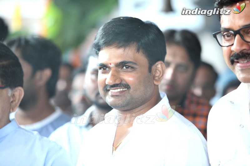 Venkatesh - Maruthi Movie Launch