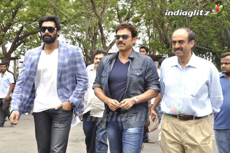 Venky, Rana @ Dr. D. Ramanaidu Memorial's - The Nurturing Hands