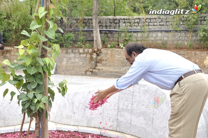 Venky, Rana @ Dr. D. Ramanaidu Memorial's - The Nurturing Hands