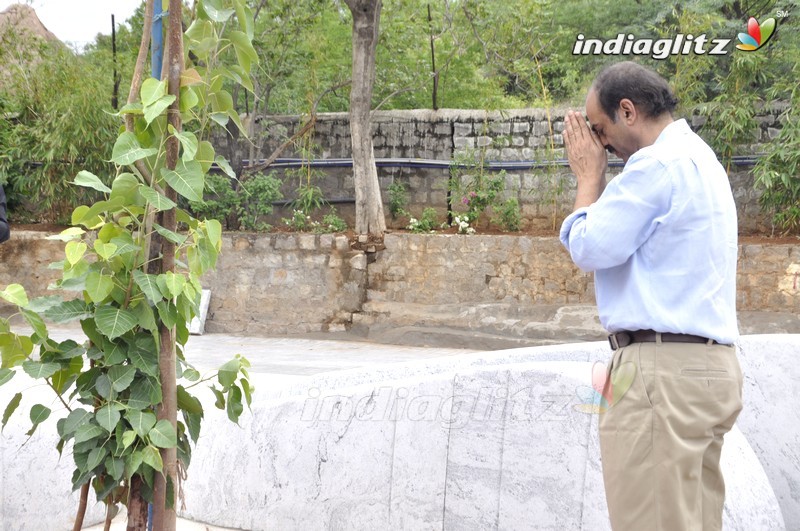 Venky, Rana @ Dr. D. Ramanaidu Memorial's - The Nurturing Hands