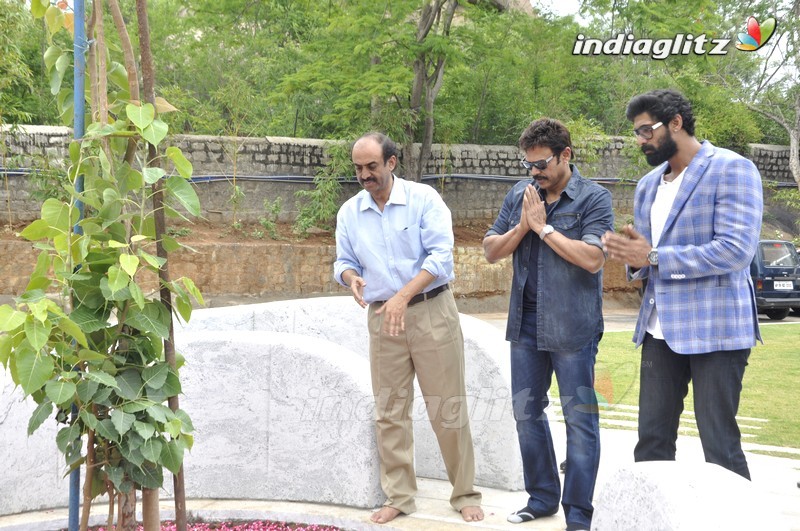 Venky, Rana @ Dr. D. Ramanaidu Memorial's - The Nurturing Hands