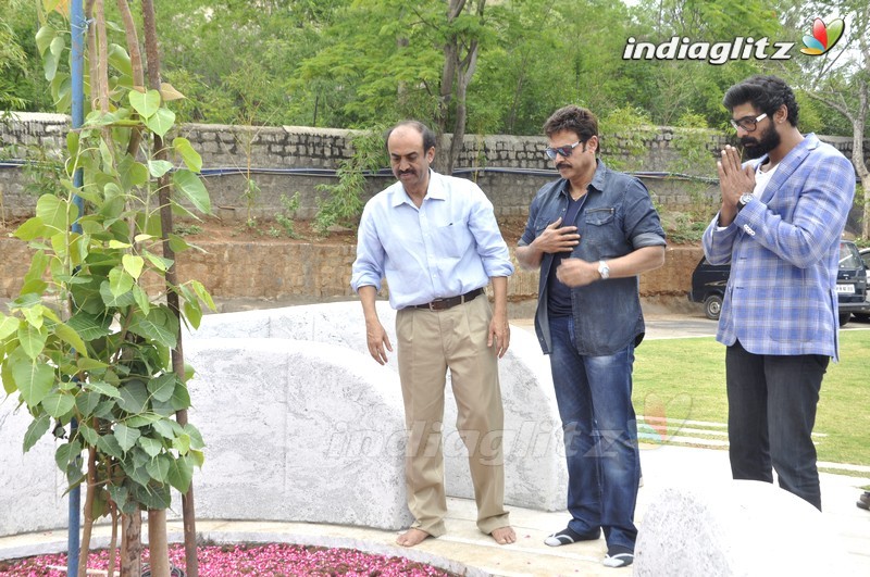 Venky, Rana @ Dr. D. Ramanaidu Memorial's - The Nurturing Hands