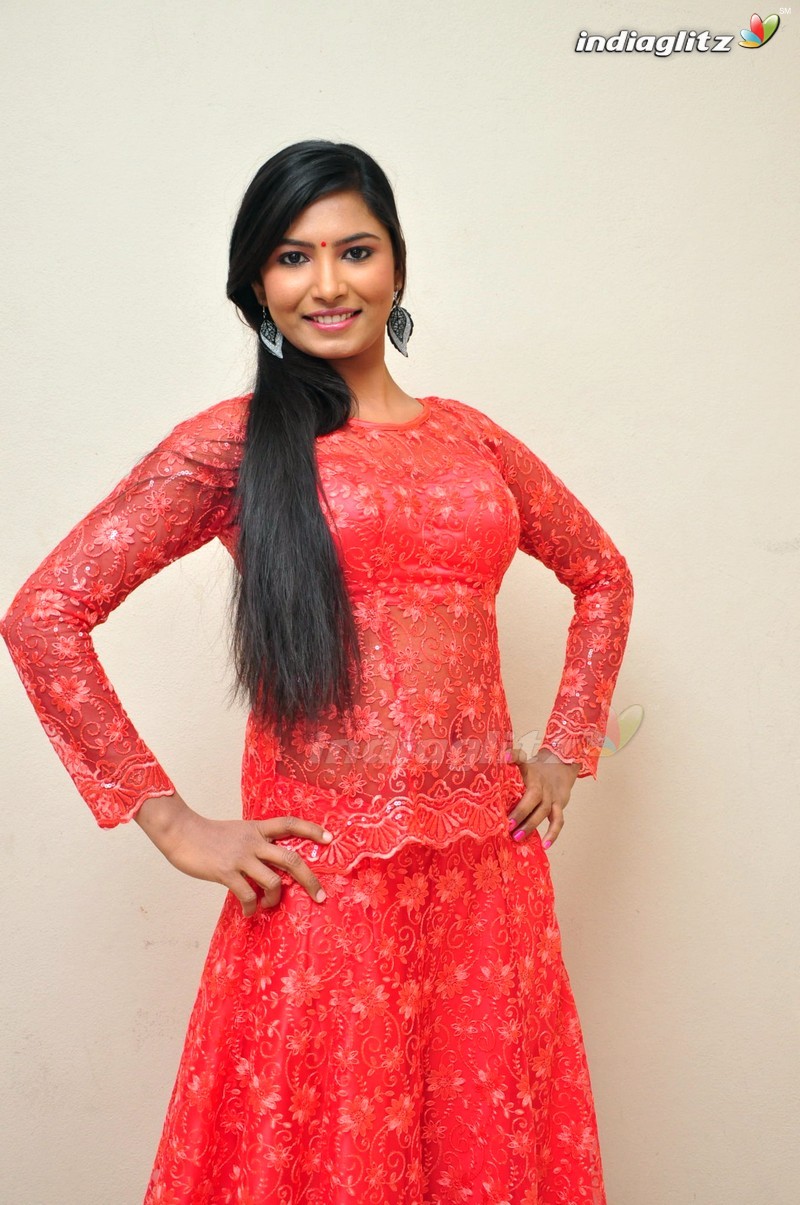 'Vetapalem' Audio Launch