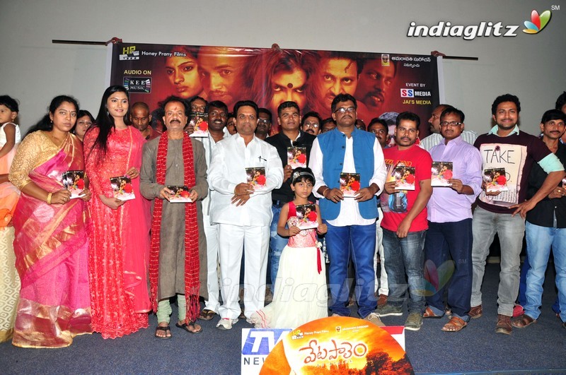 'Vetapalem' Audio Launch