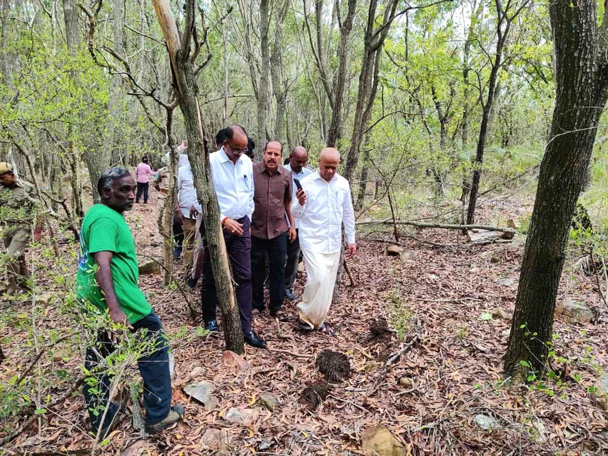 హమ్మయ్య.. చిరుత చిక్కింది : ఊపిరి పీల్చుకున్న టీటీడీ అధికారులు , భక్తులు 