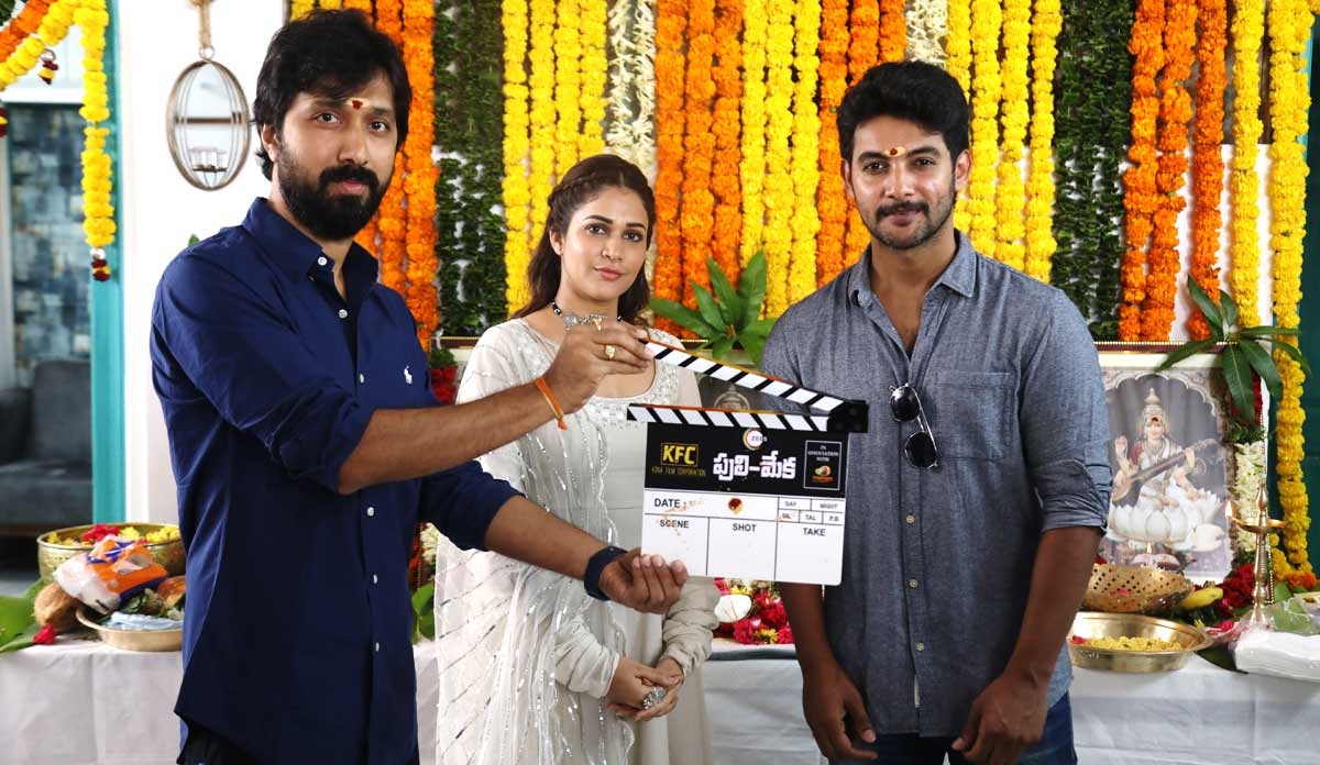 ZEE5 launches new web series Puli-Meka