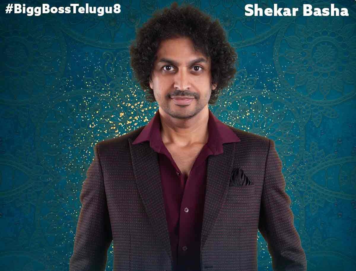 Bigg Boss 8 Telugu Contestants List, Profile and Photos