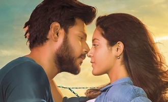 Ninu Veedani Needanu Nene Music Review