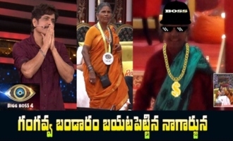 Big Boss 4 Day -20 Highlights | BB4 Episode 21 | BB4 Telugu | Nagarjuna | IndiaGlitz Telugu