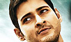 Dookudu's first day gross: Rs. 12.58 cr.