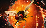 EEGA Overseas by 14 Reels Entertainment through FICUS