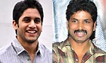 Naga Chaitanya-Veeru Potla film from October