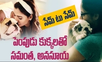 Same to Same: Samantha and Anasuya with Cute Pet Dogs