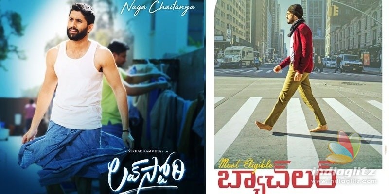 సంక్రాంతి రేసులో అక్కినేని హీరోలు  లేరా..?