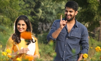 'Ammammagarillu' strikes a brilliant satellite deal