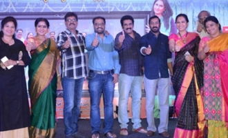 'Ammammagarillu' Success Meet