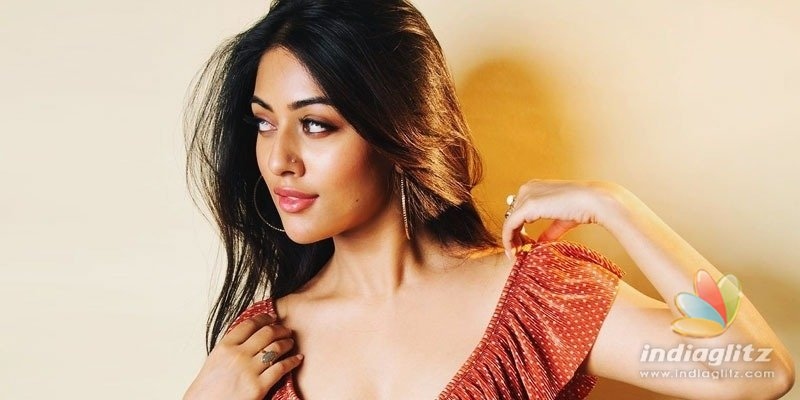 Anu Emmanuel to return to Telugu films with that film?