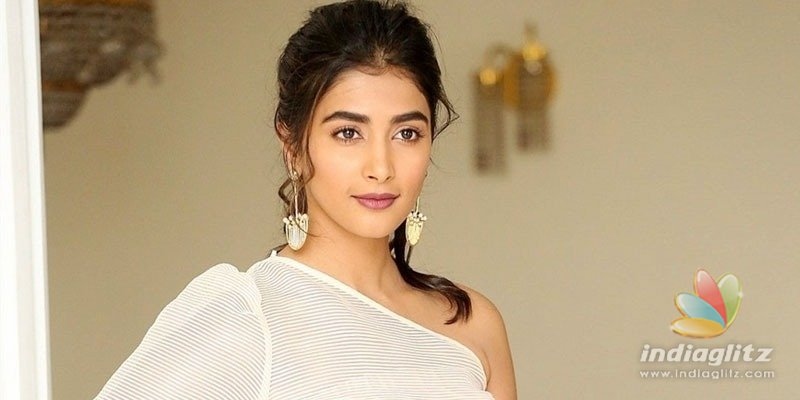 Acting opposite Allu Arjun, Mahesh, Jr NTR has helped Pooja Hegde land Cirkus