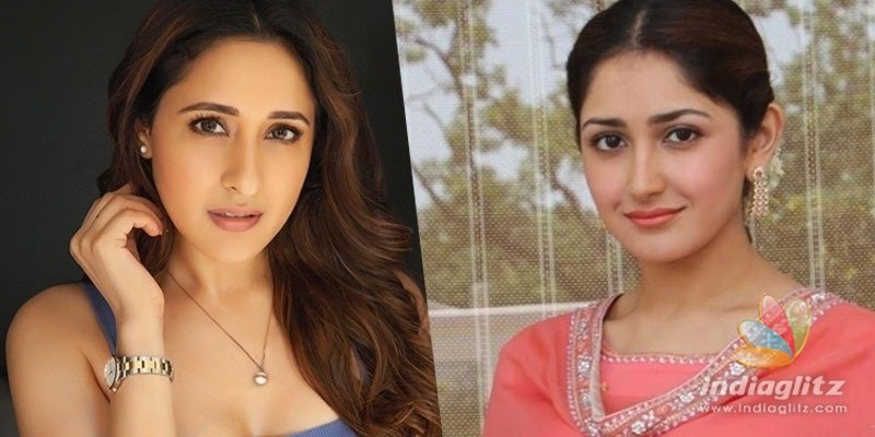 Balakrishna-Boyapatis movie: Sayyeshaa out, Pragya Jaiswal in