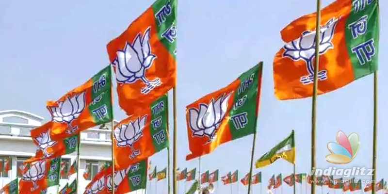 BJP wins Rajasthan panchayat elections amid rich farmers protests